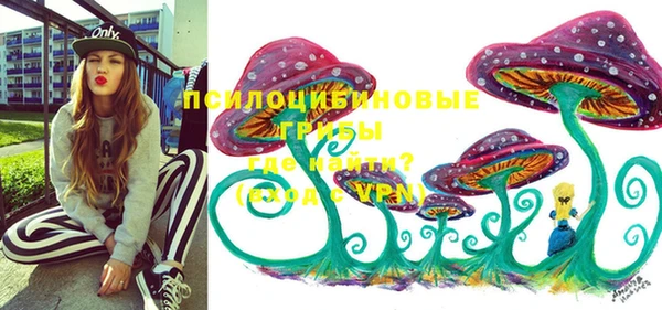 винт Балахна